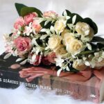 Livro de cabeceira e Os diários da Sylvia Plath