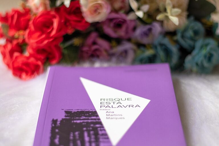 Risque esta palavra, de Ana Martins Marques