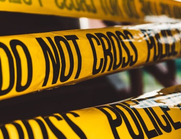 david-von-diemar-jM6Y2nhsAtk-unsplash