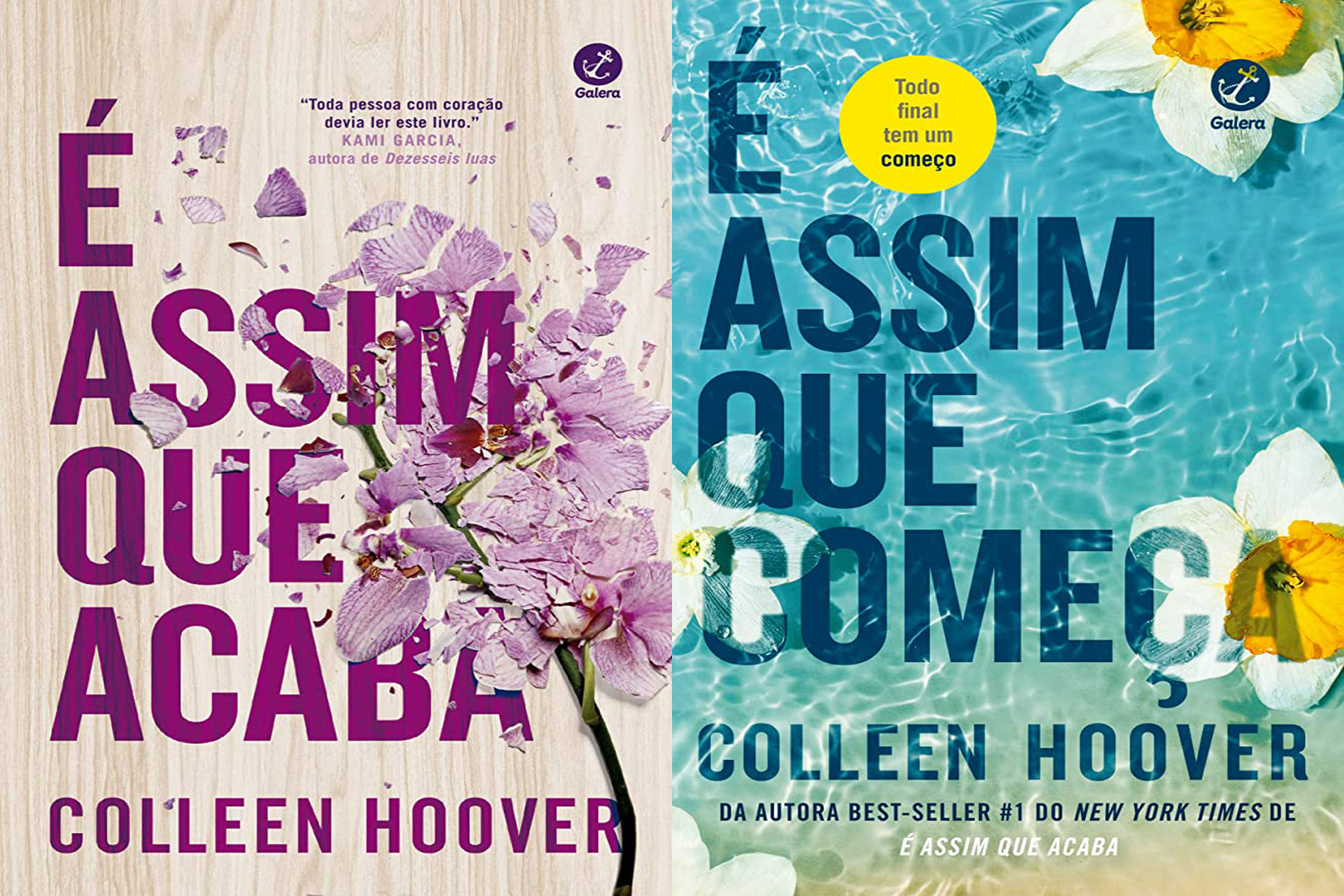 Todos os livros da Colleen Hoover - Prateleira de Cima